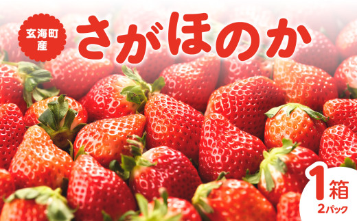 ★予約受付★平川いちご農園 佐賀県玄海町産「さがほのか」2026年1月～4月までに順次配送 ／ 送料無料 さがほのか 苺 いちご イチゴ 希少 果物 くだもの フルーツ デザート 旬 順次配送 予約受付
