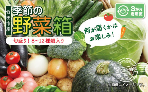 竹田市産！季節の『野菜箱』3ヶ月定期便【1箱あたり:8~12種】