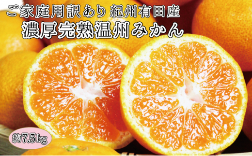 【ご家庭用訳アリ】紀州有田産濃厚完熟温州みかん　7.5kg　※2025年11月下旬頃〜2026年1月下旬頃に順次発送予定(お届け日指定不可)【uot704A】