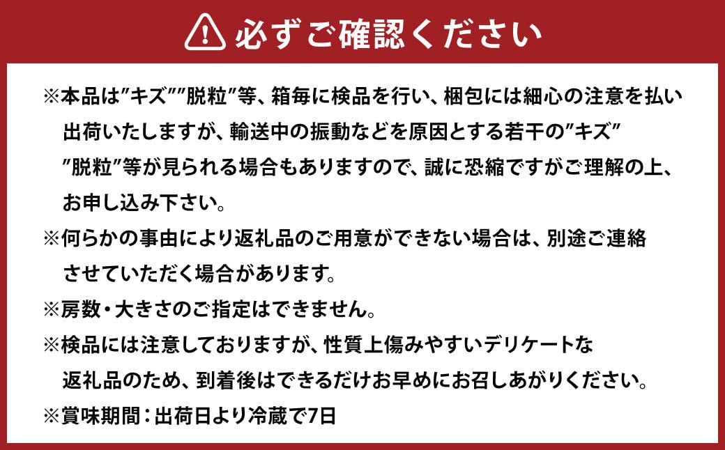 紫苑 2kg