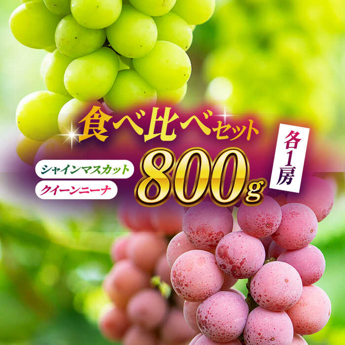【ふるさと納税】【2026年発送先行予約】食べ比べセット 800g（シャインマスカット & クイーンニーナ 各一房）【合同会社 社方園】[ZBZ018]