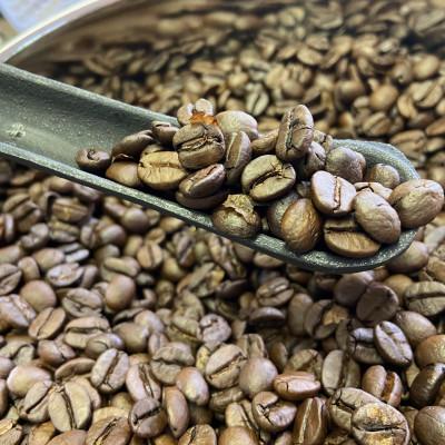 ふるさと納税 矢板市 やいたブランド認証品　YAITA BLEND〜TSUTSUJI〜　100g×3袋【豆】 |  | 03