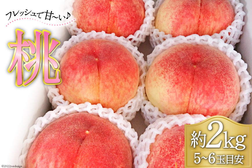 
                  【2025年発送】 桃 山梨  5～6玉 約 2kg《7月後半～8月前半出荷》モモ もも 果物 フルーツ 2キロ 山梨県産 産地直送 季節限定 期間限定 冷蔵 [フルーツランド平賀 山梨県 韮崎市 20742841]
                