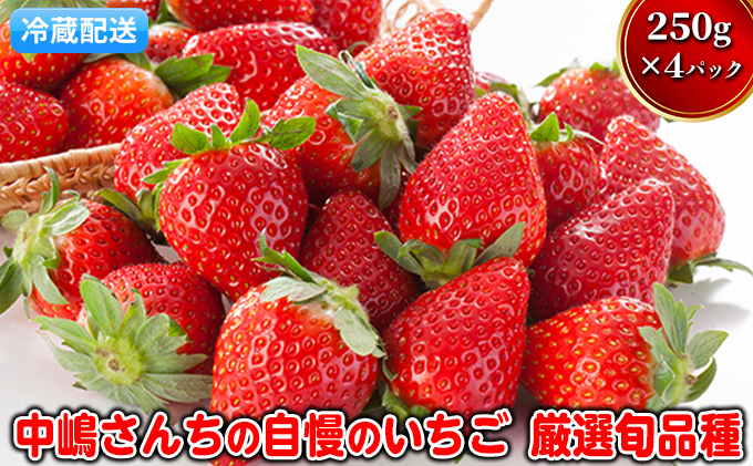 いちご 先行予約 中嶋さんちの自慢のいちご 約250g×4パック 配送不可 離島 イチゴ 苺 フルーツ 果物 