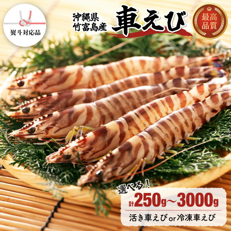 【ふるさと納税】竹富島産車えび250g〜3kg【内容量が選べる！】| 海老 車エビ エビ 車海老 250g 500g 700g 1kg 3kg 竹富島産 冷凍 常温