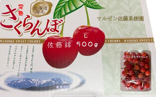 8-009-003　完熟さくらんぼ 佐藤錦（L）500g　マルゼン佐藤果