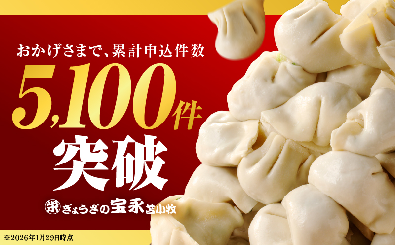 【定期便・全3回 4ヶ月毎】手包み餃子 ぎょうざの宝永 5種食べ比べセット（65個入）　T004-T07-01