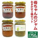 【ふるさと納税】母ちゃんのジャム 手作りジャム 250g 合計750g おまかせ3種 (各1個) セット いちご いちじく キウイ トマト ジャム 瓶 送料無料