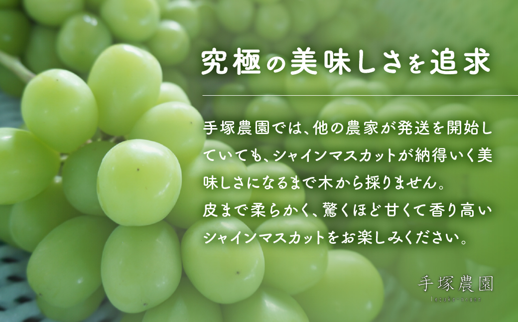 【先行予約2025年/令和7年発送分】種なしピオーネ　約2㎏