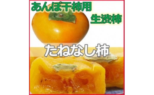 【県認定エコファーマー】あんぽ柿用生渋柿（平たねなし柿） 約4.5～5kg（約20～30玉）【2026年10月中旬～11月上旬ごろ順次発送(日付指定不可)】-AP【art003B】