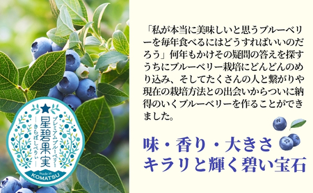 きらぼしべりぃのリッチソルベ4個入り
