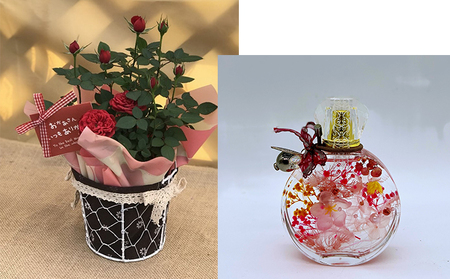 ミニバラ（コルダーナローズ）4号バスケット植とおしゃれな「香水瓶」ハーバリウムセット 植物 薔薇 　※2026年4月下旬～5月下旬頃に順次発送予定　※離島への配送不可