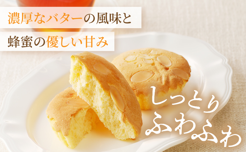 【2週間以内発送】老舗菓子舗のマドレーヌ計10個 焼き菓子 スイーツ 詰め合わせ 洋菓子_T035-0021