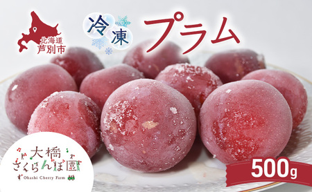 冷凍プラム 500g 冷凍プラム 冷凍 プラム 果物 完熟