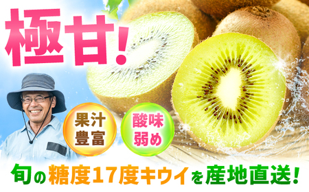 【今が旬！】博多甘うぃ 約1.5kg（9玉） 5Lサイズ キウイ きうい あまうぃ 果物 くだもの フルーツ 甘い 果肉 果実 ビタミンC 博多 広川町 / JAふくおか八女農産物直売所どろや[AFA