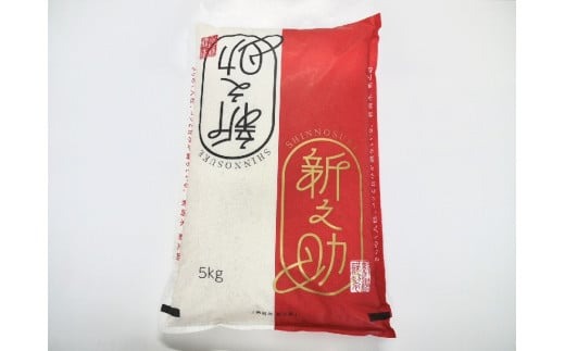 【令和7年産米】特別栽培米 新潟県村上市岩船産 新之助 5kg 1029001