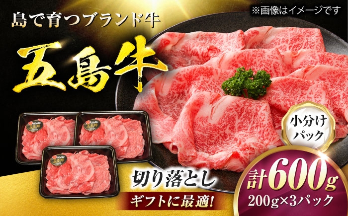 
                  五島牛 切り落とし 600g（200g×3P）五島市/meat shop FUKU [PHF013]
                