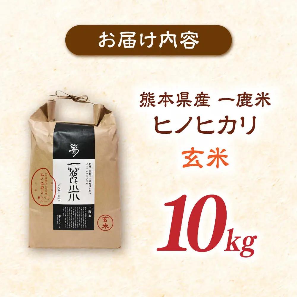 【天日塩を使用】一鹿米 ヒノヒカリ 米 玄米 10kg 【株式会社 夢アグリ】[ZCL030]
