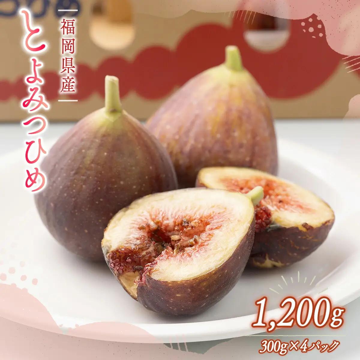 いちじく とよみつひめ 300g 4p 1.2kg いちじく