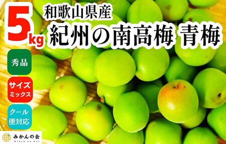 【2025年6月上旬出荷】青梅 南高梅 5kg 秀品 サイズミックス 和歌山県産 A品 梅酒作り用 梅ジュース作り用