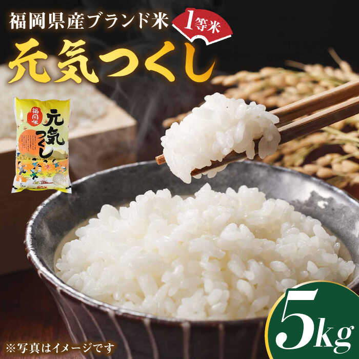 【ふるさと納税】【先行予約】【令和7年産】福岡県産ブランド米「元気つくし」白米 5kg【2025年11月以降順次発送】《築上町》【株式会社ゼロプラス】 米 こめ コメ お米 ご飯 白ご飯 白米 ブランド米 おにぎり 弁当 もちもち 精米 食品 九州産 [ABDD001] 21000円
