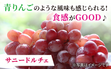 先行予約 訳あり 詰め合わせ赤白セット 約2kg＜山田果樹園＞CCX008 ぶどう
