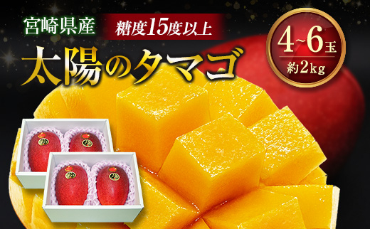 糖度15度以上『太陽のタマゴ』 約2kg 4～6玉 宮崎県産 完熟マンゴー ブランド 贈答 ギフト 南国 トロピカル フルーツ 果物 くだもの 化粧箱入り 約2kg（2～3玉×2箱）