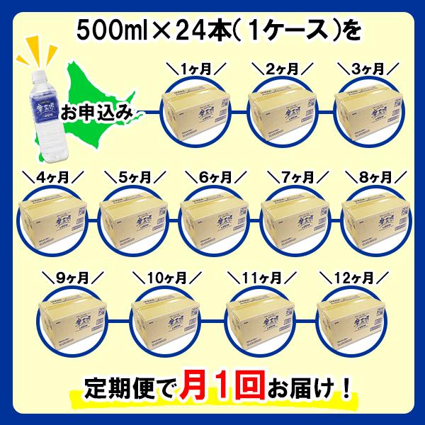 1158.定期便 12回 摩周湖の天然水（非加熱製法） 500ml×24本 計288本 硬度 18.1mg/L ミネラルウォーター 飲料水 軟水 湧水 ペットボトル 国産 屈斜路湖 北海道 弟子屈町_