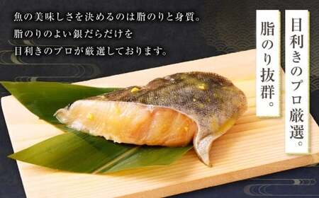 【5ヶ月定期便】西京漬け 極み銀だら 8枚セット ／ 計約2.8kg 5ヶ月 5回 西京味噌 銀だら 鱈 たら タラ 魚 海鮮 魚介 漬け魚 漬魚 焼き魚 切り身 切身 おかず おつまみ セット 定期