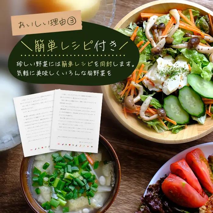 【定期便】淡路島の旬の野菜セット 3ヶ月コース　野菜詰め合わせ