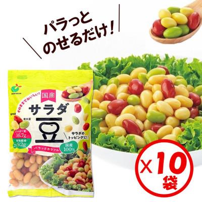 ふるさと納税 射水市 「パラっとカラフル 国産 サラダ豆 120g」×10袋