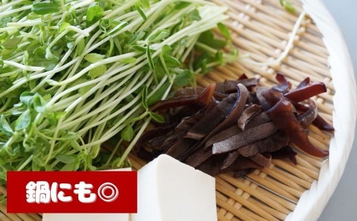 津久見産の肉厚乾燥きくらげ 15g×4袋 | キクラゲ 木耳 九州 大分県