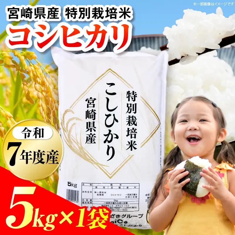 特別栽培米 宮崎県産コシヒカリ 5kg×1袋 米 お米 コシヒカリ 宮崎県産 5kg