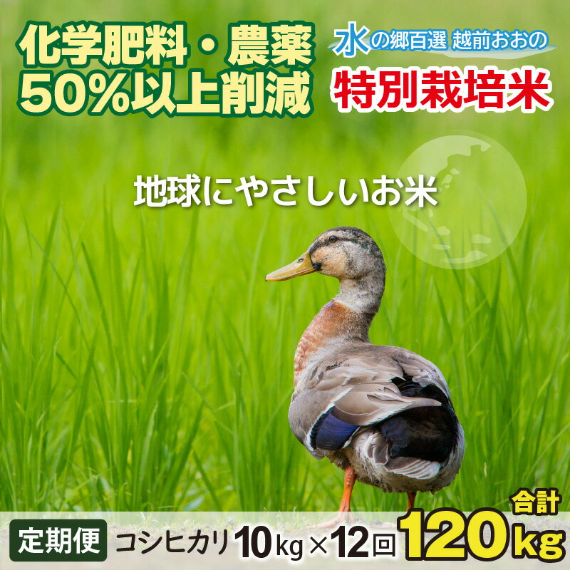 【ふるさと納税】【令和7年産】【12ヶ月定期便】こしひかり 10kg×12回 計120kg【白米】減農薬・減化学肥料 「特別栽培米」－地球にやさしいお米－定期便・お米・コシヒカリ・12ヶ月連続・米・120kg・12回 コンシェルジュ 5キロ 15キロ　頒布会 精米 米定期便 福井 大野市