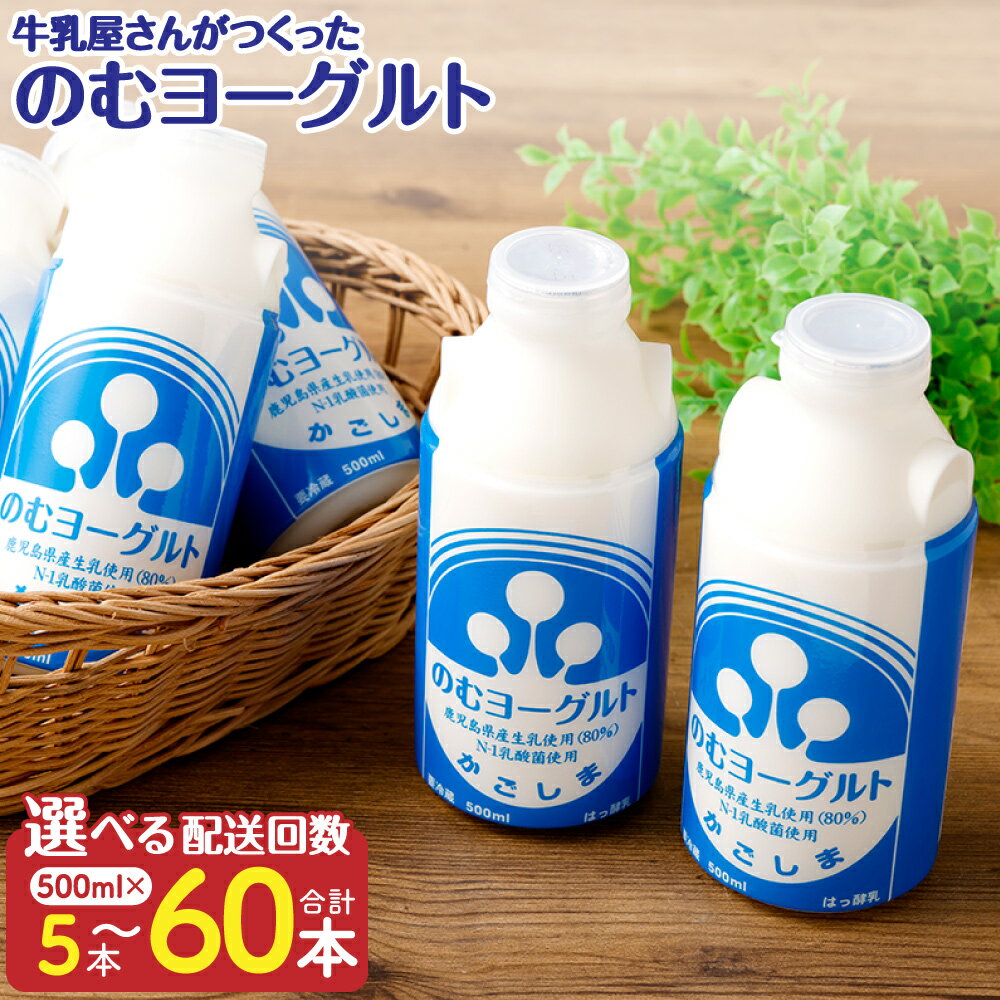 【ふるさと納税】“牛乳屋さんがつくった”のむヨーグルト 500ml×5本 選べる配送回数 定期便 飲むヨーグルト のむヨーグルト ヨーグルト N-1 乳酸菌 鹿児島県 薩摩川内市 送料無料