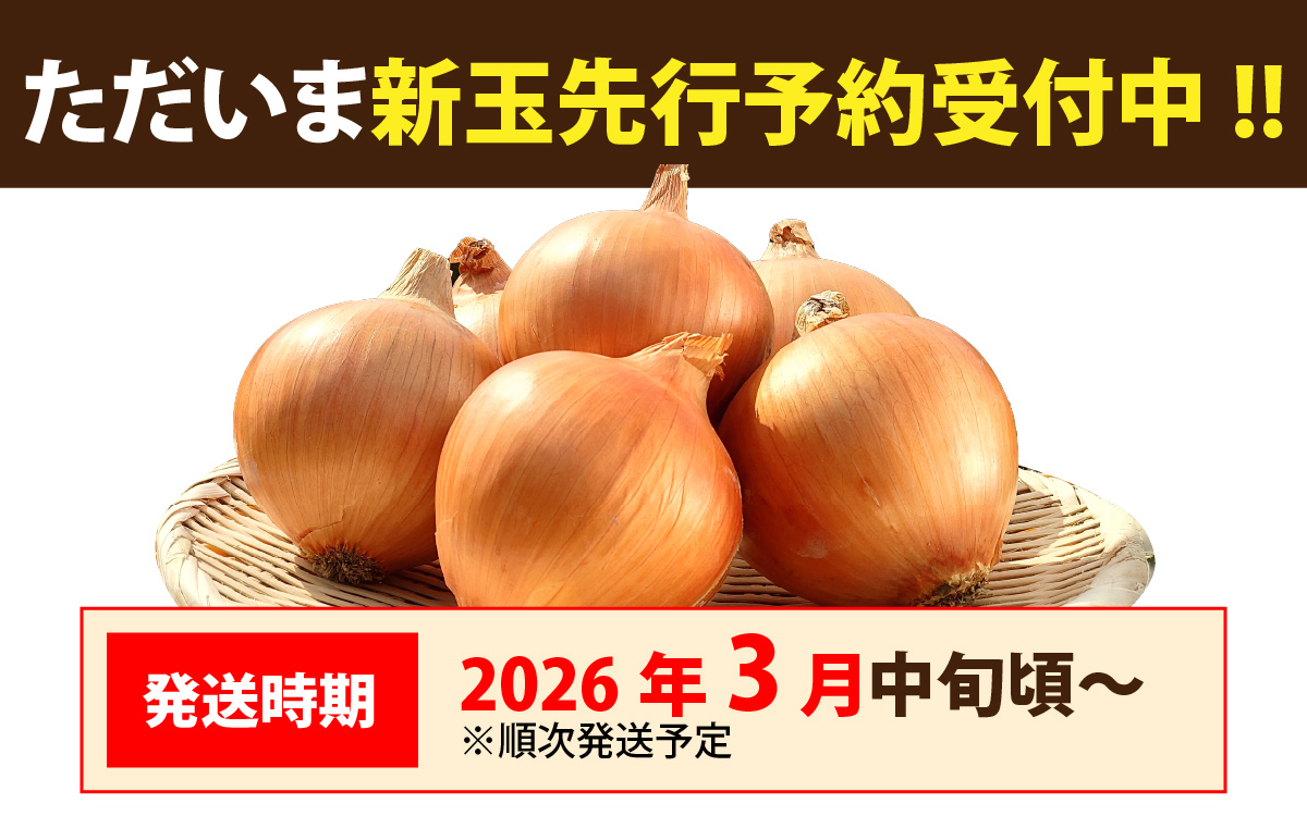 【先行予約】新玉フルーツ玉ねぎ8kg【サイズ色々】※2026年3月中旬頃より順次発送予定