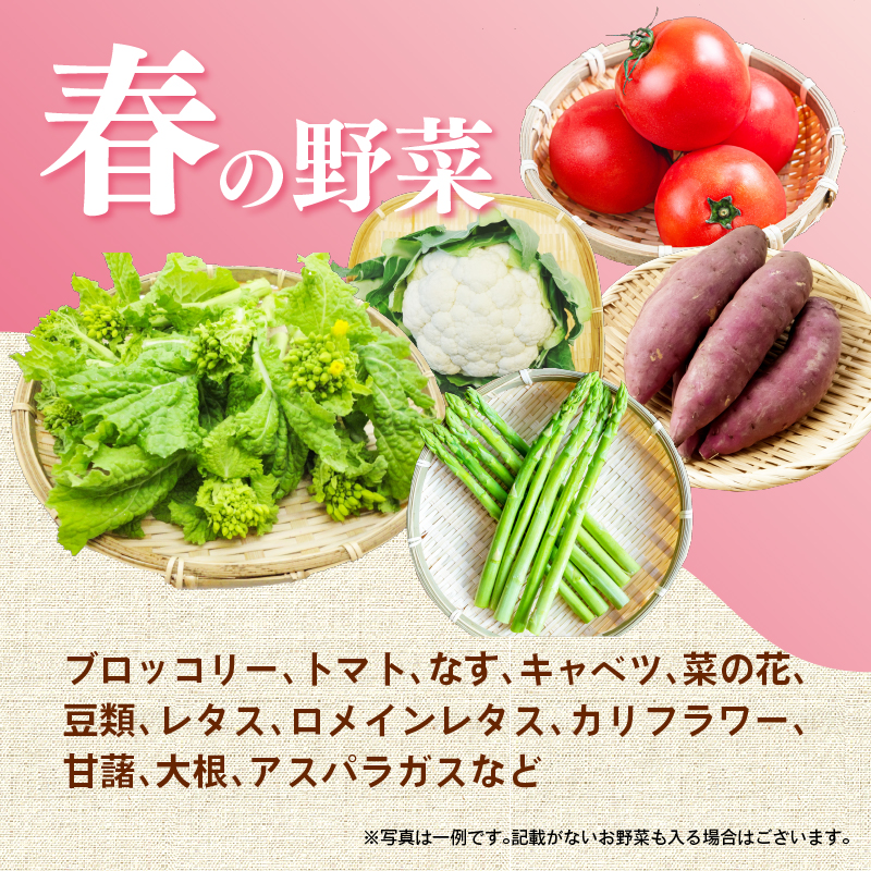 【2026年5月発送 春野菜】三島野菜詰め合わせセット 8種類以上 JAふじ伊豆 ファーマーズマーケット みしまるかん お取り寄せ グルメ 野菜 旬の詰め合わせ 三島市 静岡県