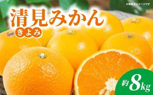 【2027年3月頃発送 先行予約】佐賀県産 清見（きよみ）みかん 約8kg 柑橘 フルーツ _c-141