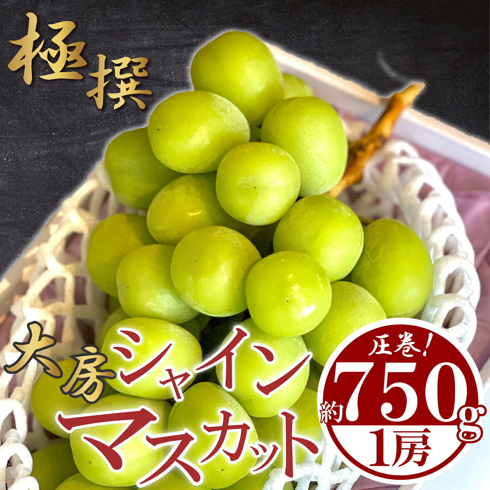 【ふるさと納税】 先行予約 大房 シャインマスカット 1房 約750g 特大 大房 マスカット ぶどう 葡萄 ブドウ フルーツ 果物 くだもの ふるさと納税シャインマスカット ふるさと納税ぶどう 瀬戸内 高級 デザート スイーツ 果実 甘い 旬 国産 送料無料 ふるさと納税