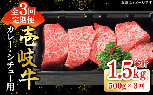 【全3回定期便】 特選 壱岐牛 すね肉 500g（カレー・シチュー用）《壱岐市》【太陽商事】[JDL082] 肉 牛肉 黒毛和牛 ブランド牛 カレー シチュー 赤身 チマキ 煮込み ブロック 国産 九州 36000 36000円