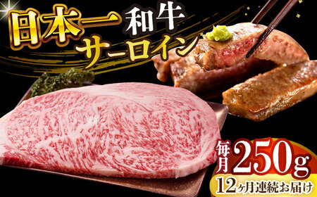 【12回定期便】A4-A5 長崎和牛 サーロインステーキ (250g)【株式会社 MEATPLUS】サーロイン サーロインステーキ 和牛サーロイン 牛肉ステーキ サーロイン [DBS084]