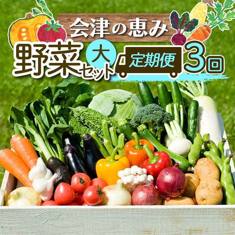 【ふるさと納税】《定期便》＜3市町村共通返礼品＞会津の恵み野菜セット(大)《全3回》 朝採れ 野菜 お米 精米 米 セット 詰合せ 契約農家 朝採り 採れたて 新鮮 会津野菜 定期便 3回 3ヶ月 連続 F4D-1414