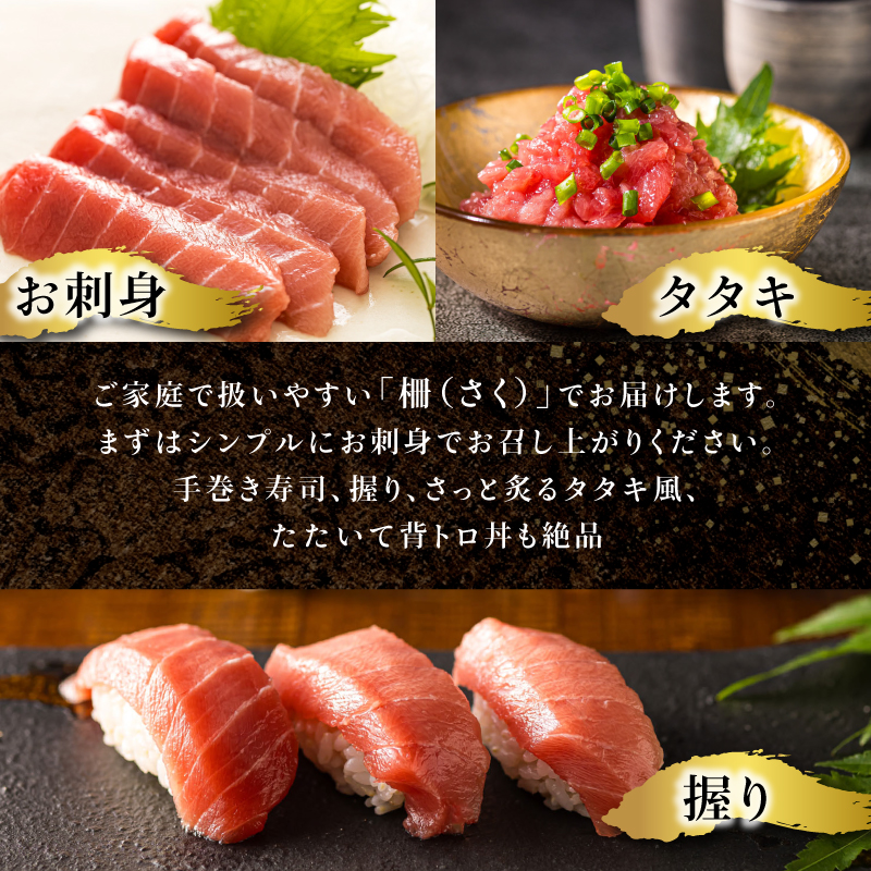 【9月配送】北海道産 天然 本マグロ 背トロ 冷凍 200g × 3柵 計600g（訳あり 筋あり） 国産 鮪 ホンマグロ クロマグロ 魚介類 海鮮 絶品 高級 発送月が選べる 釧路町 釧路超 特産品