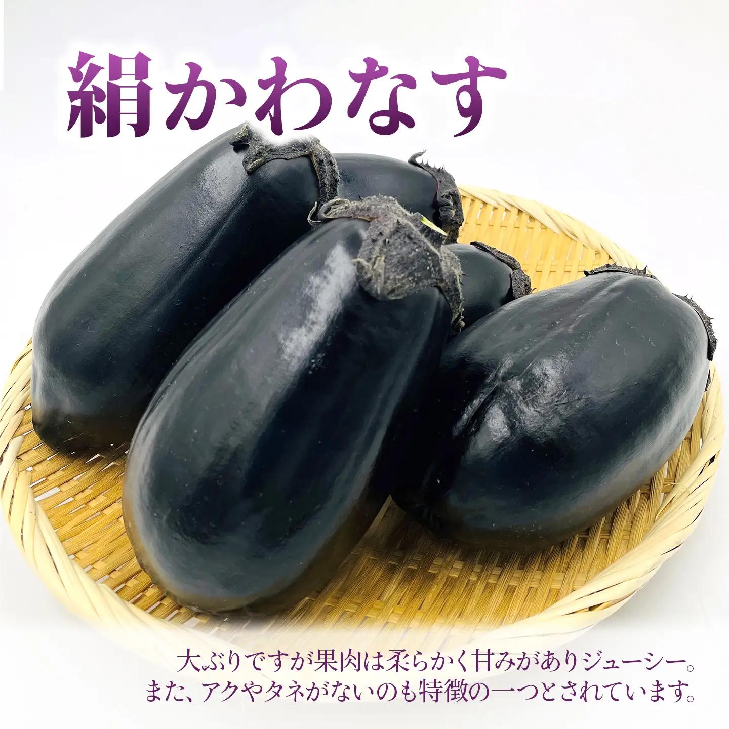 【茄子】絹かわなす 5～7本入り 6月中旬～7月発送 ナス 野菜