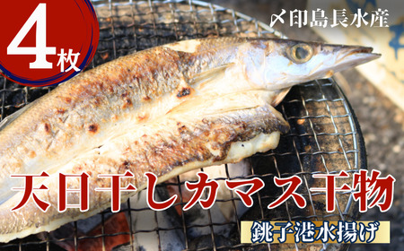 カマス 干物 3枚 【カマス】