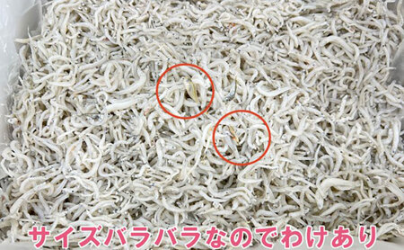 わけあり しらす 遠州灘舞阪港直送 しらす干し 800g（400g×2袋） 冷凍 シラス 訳アリ 【配送不可：離島】 浜松市