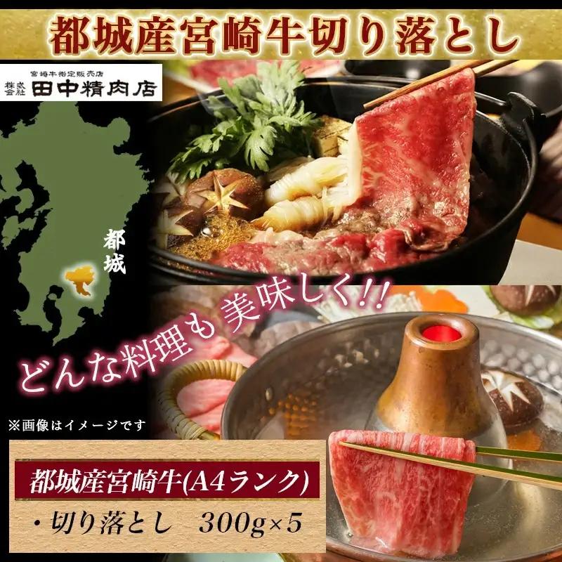 宮崎牛切り落とし1.5kg〔AD-24-003〕_(都城市) 国産黒毛和牛 ブランド A4ランク 牛肉 300g×5パック 小分け 冷凍