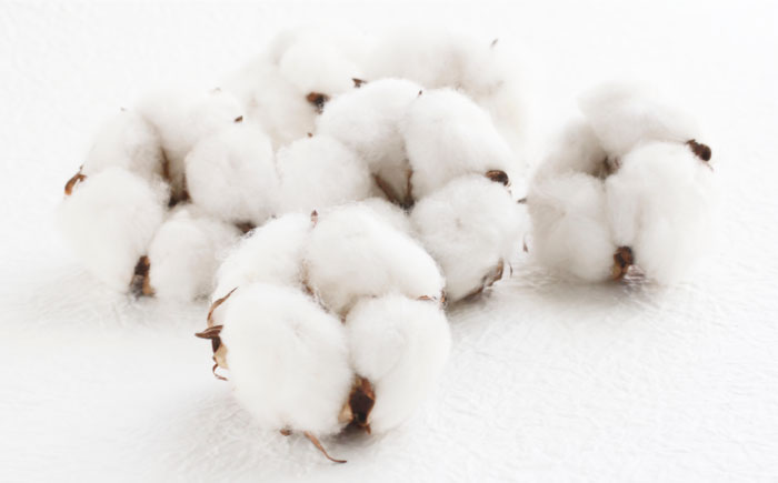 精製水でうるおいピュア 20包×5個（100包） 愛媛県大洲市/三和製作所 [AGEH002]