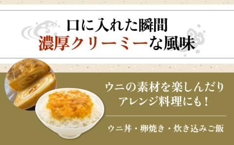 壱岐産 濃厚 ウニ60g《壱岐市》【合同会社塚元】ムラサキウニ 海産物 海鮮 ウニ うに 雲丹 珍味 [JDR021] 14000 14000円