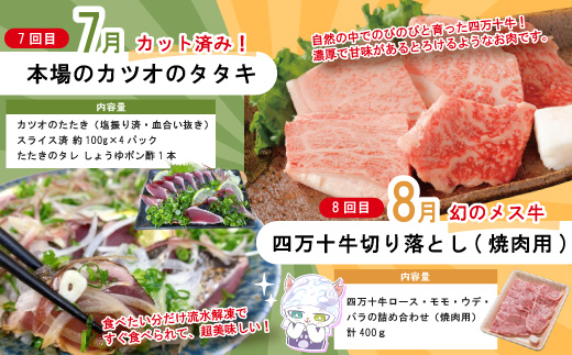 【 年末限定 】 8回 定期便 四万十 人気グルメ お楽しみ定期便 しまんと ふるさと定期便 10万円 Bコース 今だけ 鰻 牛肉 豚肉 パン 魚 タタキ カツオ 鰹 うどん 麺 鮎 天然鮎 ケーキ